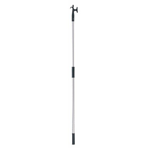 Bichero Telescópico L50050