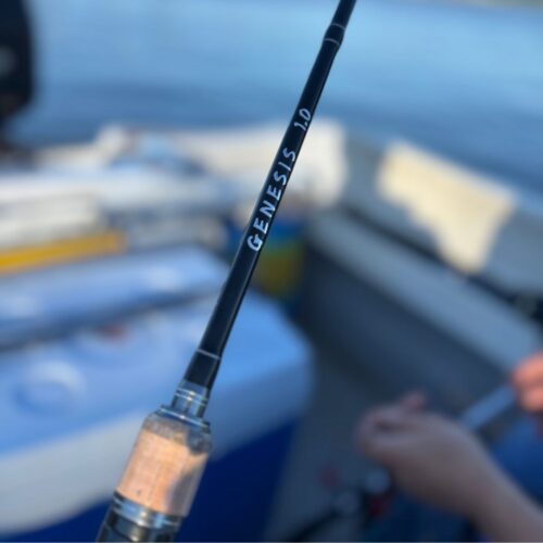 Caña Go Fishing Génesis Baitcasting 2.10 mts Carbono 10-20 lb 2 Tramos