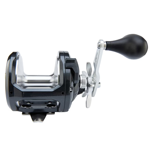 Reel Rotativo Shimano Torium 14 HG 6 Reel Rotativo Shimano Torium 14 HG - Imagen 6