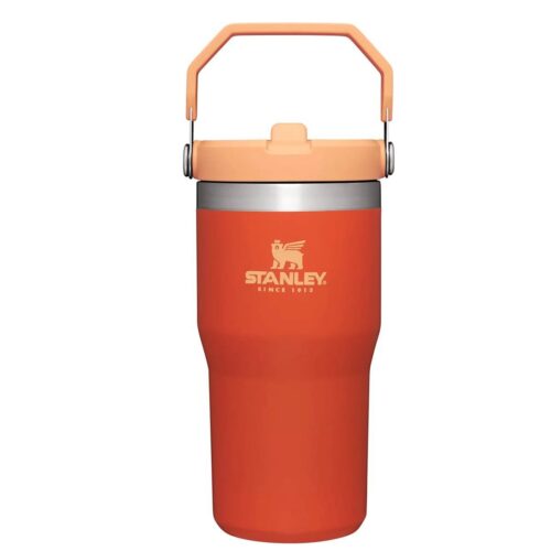 Stanley Flip Straw Tumbler 20 oz Tigerlily