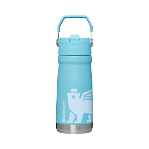 Stanley Flip Straw Classic 17 oz