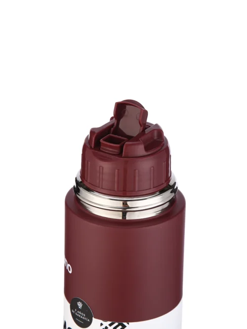 Termo Bala 750ML - Bordo